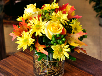 Sunny Splendor Upper Darby Polites Florist, Springfield Polites Florist