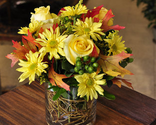 Sunny Splendor Upper Darby Polites Florist, Springfield Polites Florist