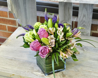 Sweet As Can Be Upper Darby Polites Florist, Springfield Polites Florist