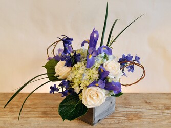 The Delco Upper Darby Polites Florist, Springfield Polites Florist