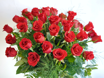 Three Dozen Red Roses Upper Darby Polites Florist, Springfield Polites Florist
