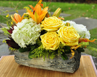 Timberland Upper Darby Polites Florist, Springfield Polites Florist
