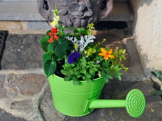 Tin Watering Can Upper Darby Polites Florist, Springfield Polites Florist