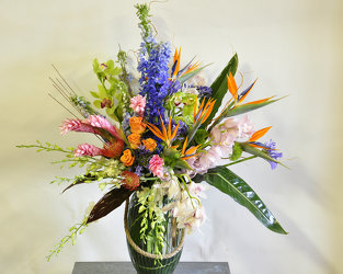 Tropical Sophistication Upper Darby Polites Florist, Springfield Polites Florist