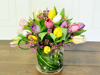 Tulips Vased Upper Darby Polites Florist, Springfield Polites Florist