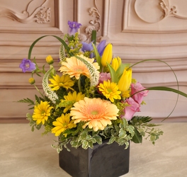 Tuscan Sun Upper Darby Polites Florist, Springfield Polites Florist