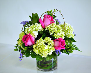 Warm Medley Upper Darby Polites Florist, Springfield Polites Florist