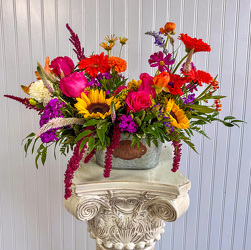 Wild At Heart Upper Darby Polites Florist, Springfield Polites Florist