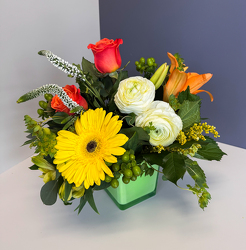Wild Citrus Upper Darby Polites Florist, Springfield Polites Florist