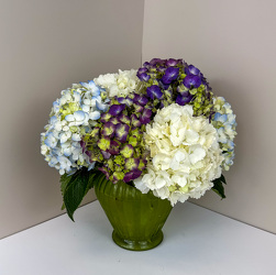 Wonderful Hydrangeas Upper Darby Polites Florist, Springfield Polites Florist