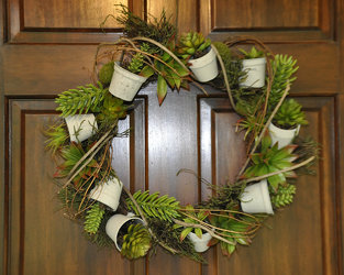 Wreath-Succulents and Pots Upper Darby Polites Florist, Springfield Polites Florist