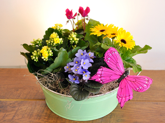 Blooming Garden Plant Basket Upper Darby Polites Florist, Springfield Polites Florist