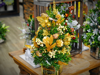 Holiday Boxwood Tree Upper Darby Polites Florist, Springfield Polites Florist