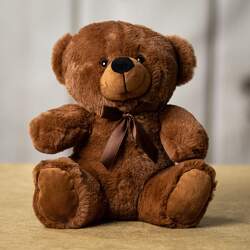 Teddy Upper Darby Polites Florist, Springfield Polites Florist