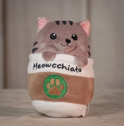 Meowcchiato Upper Darby Polites Florist, Springfield Polites Florist