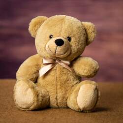 Honeybear Upper Darby Polites Florist, Springfield Polites Florist