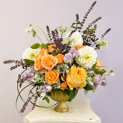 The Timeless Garden Upper Darby Polites Florist, Springfield Polites Florist